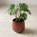 Pot Gabriel rond bordeaux D14