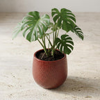 Pot Gabriel rond bordeaux D14