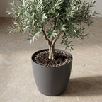 ELHO Brussels rond 18cm antraciet