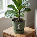 Elho greenville round leaf 30 cm green