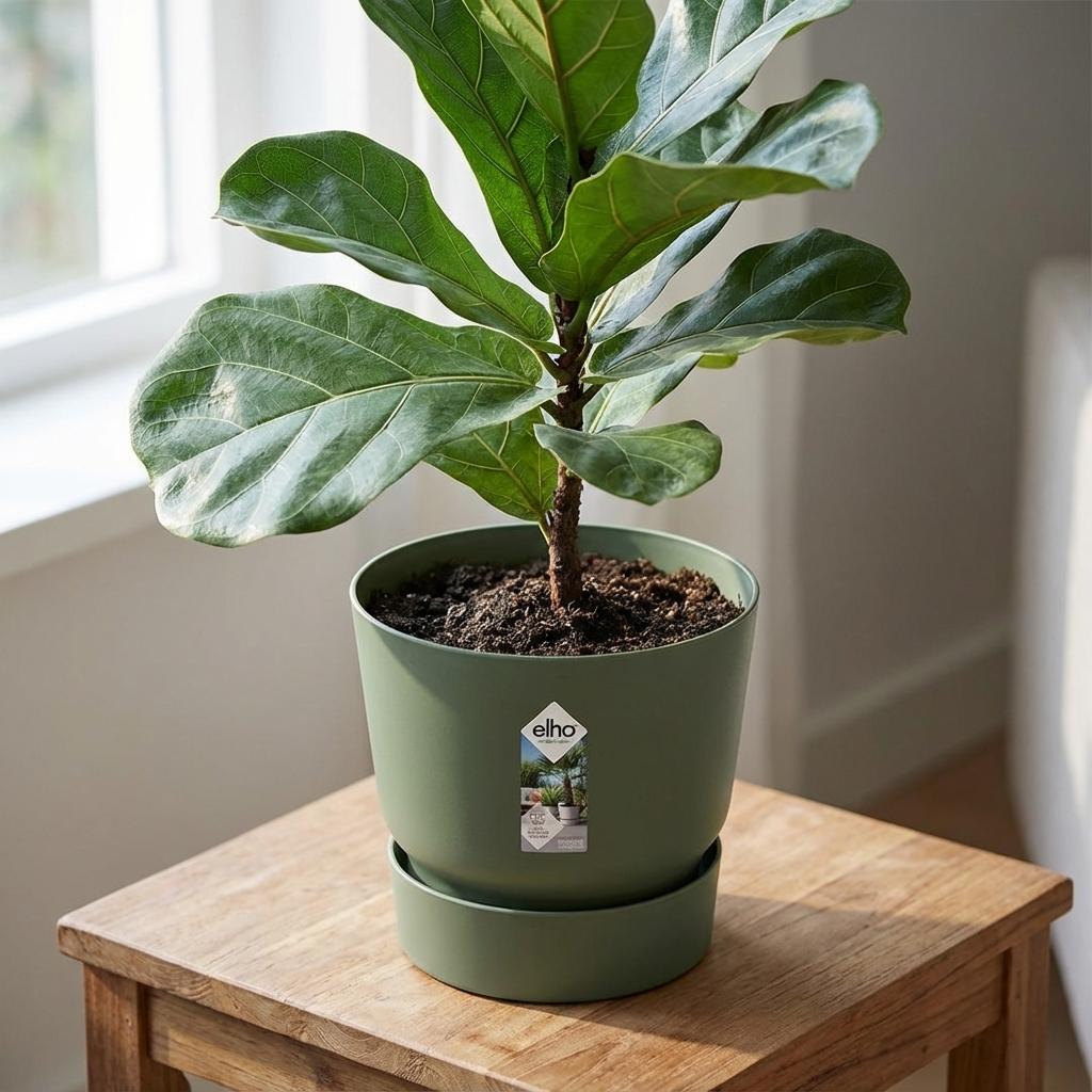 Elho greenville round leaf 30 cm green