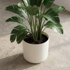 ELHO b.for soft rond 35cm wit