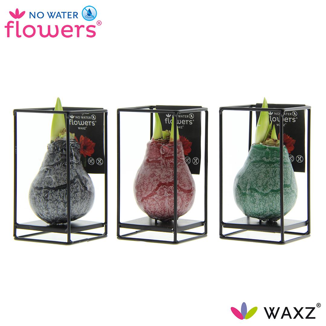 No Water Flowers Waxz Formz Industrial Mix - 3 stuks - Ø7 cm - ↕15 cm