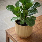 ELHO Vibes Fold 14cm geel