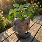 Planter Olifant D11/12x10cm - Grijs - D11/12x10cm