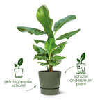 Pot elho Greenville Round wit - D30 x H28