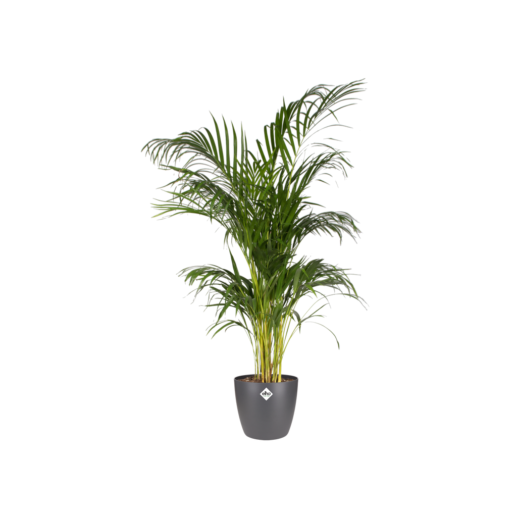 Pot elho Brussels Round Antraciet D20 x H19