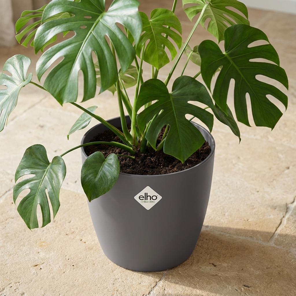 ELHO Brussels rond 20cm antraciet