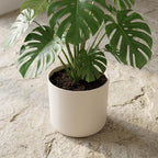 ELHO b.for soft rond 25cm wit
