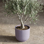 Pot Elho Jazz Round Lavender Lilac - D19