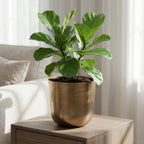 Pot Mayk Gold - D20cm - H22cm