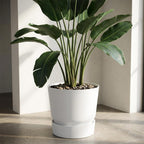 Elho greenville round white - D20cm
