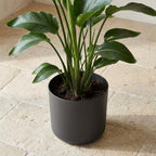 Elho B.for soft Antraciet - 22cm