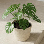 Mand Selin - Ø26cm - ↨23cm