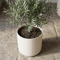 Elho B.for soft White - 22cm