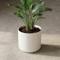 Elho B.for soft White - 18cm