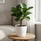 ELHO Brussels rond 30cm wit
