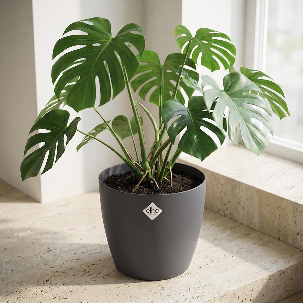 ELHO Brussels rond 30cm antraciet