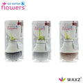 No Water Flowers Waxz Dipz Natural in Koker - 3 stuks - Ø7 cm - ↕15 cm