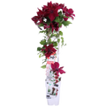 Clematis Nubia - Clematis Evison Rood - Ø15cm - ↕65cm - Ø15 - ↨65cm