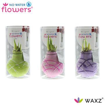 No Water Flowers Waxz Art Monet in  Koker - 3 stuks - Ø7 cm - ↕15 cm