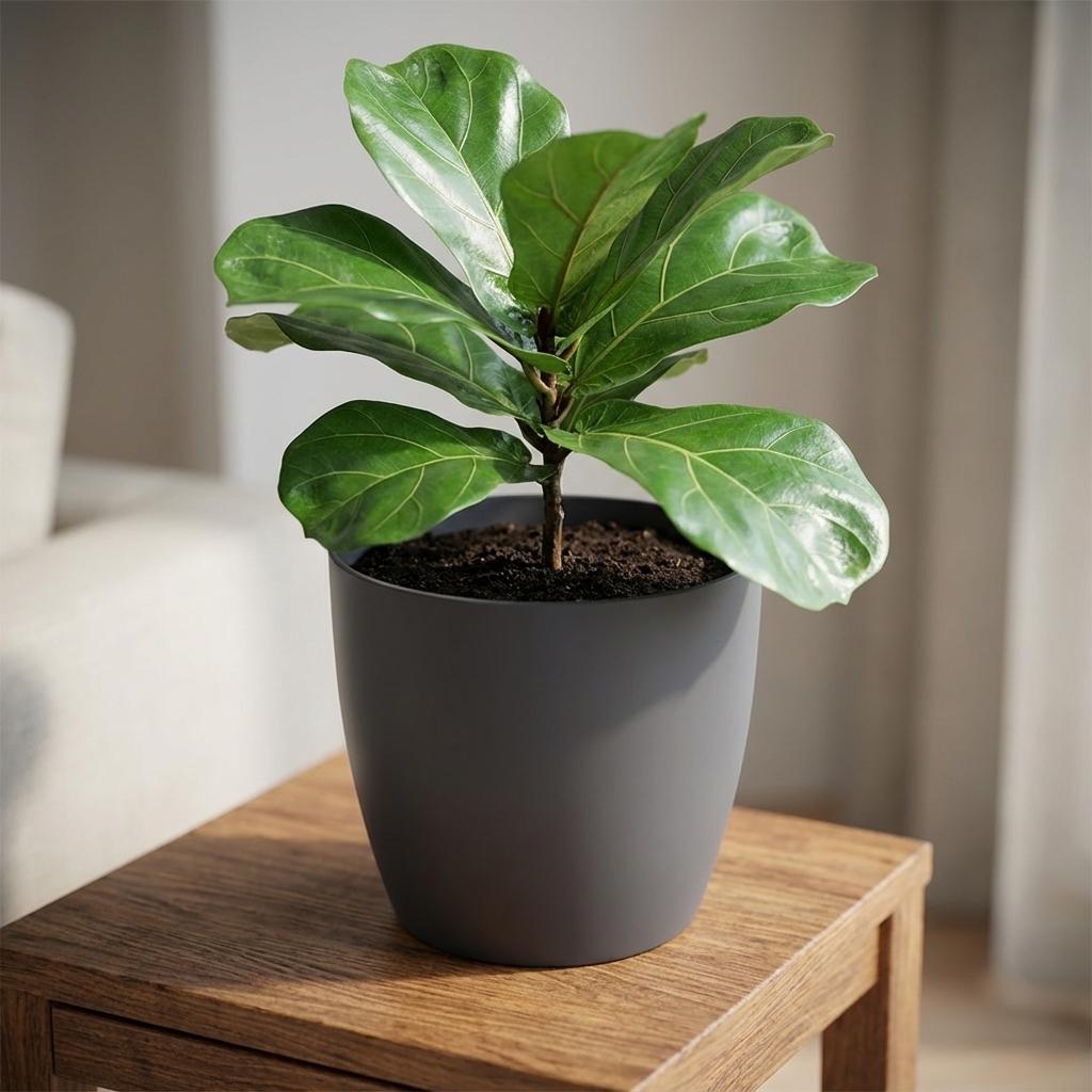 ELHO Brussels rond 20cm antraciet