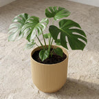 ELHO Vibes Fold 14cm geel