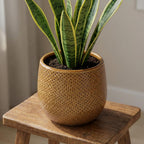 Pot Gabriel rond oker D14