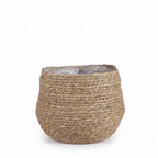 Mand Jorck bruin D26