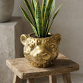 Planter Luipaard D12x9,5cm - Goud - D12x9,5cm
