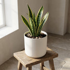Elho B.for soft White - 25cm