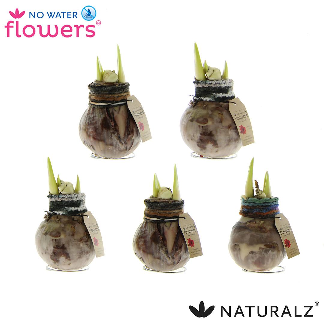 No Water Flowers Naturalz Deco Mix - 3 stuks - Ø7 cm - ↕15 cm