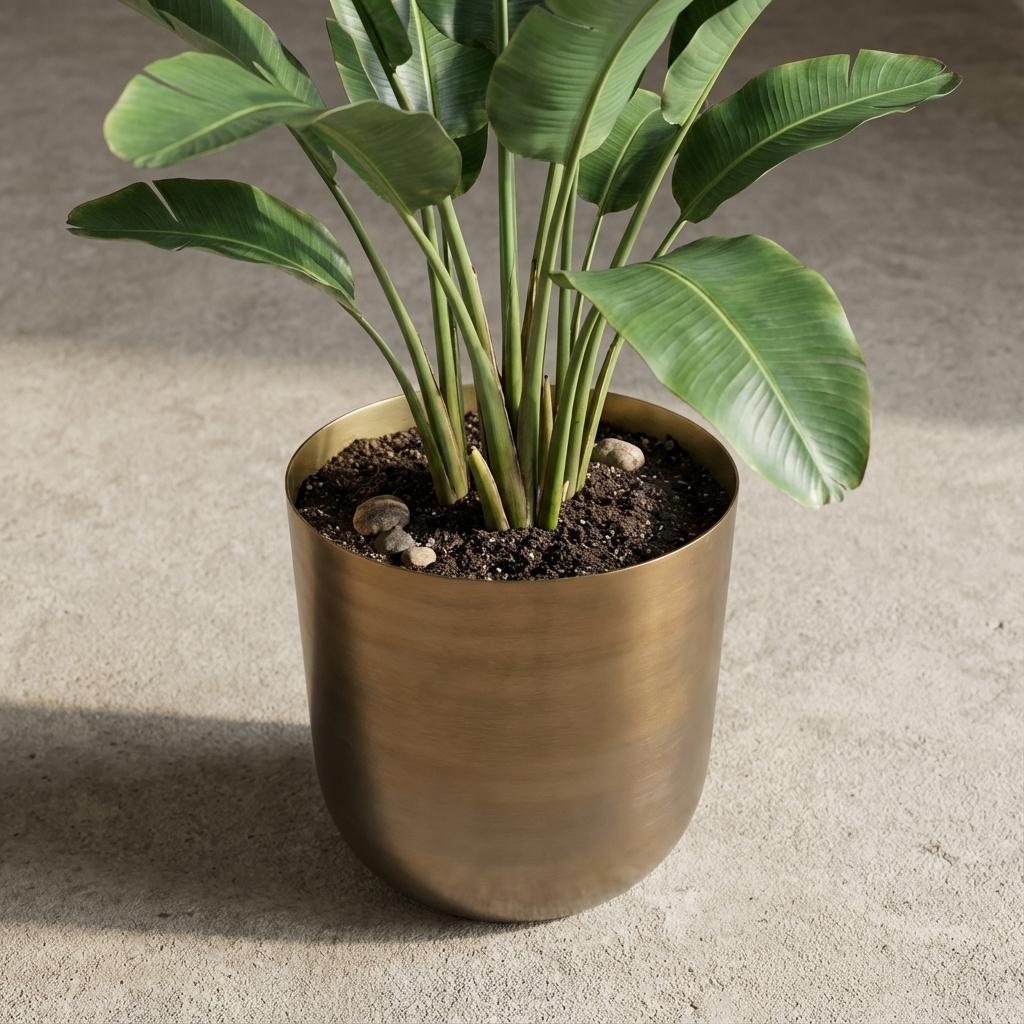 Pot Mayk Gold - D20cm - H22cm