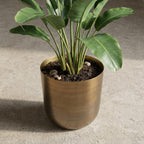 Pot Mayk Gold - D20cm - H22cm