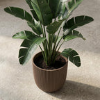 Capi Pot Nature Groove Made With Warm Taupe  - D25cm