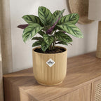 ELHO Vibes Fold 22cm geel