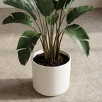 Elho B.for soft White - 16cm