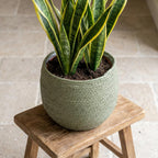 Mand Jorck groen D26