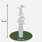 Parthenocissus tricuspidata 'Veitch Boskoop' - Ø15cm - ↕65cm