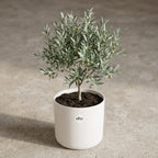 ELHO b.for soft rond 25cm wit