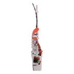 Campsis Summer Jazz Fire Trumpet - Ø19cm - ↕70cm - Ø15 - ↨65cm