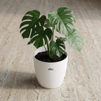 ELHO Brussels rond 18cm wit