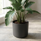Elho B.for soft Antraciet - 25cm