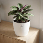 ELHO Brussels rond 30cm wit