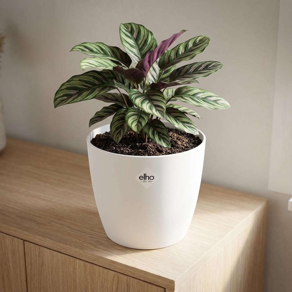 ELHO Brussels rond 30cm wit