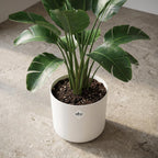ELHO b.for soft rond 30cm wit