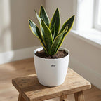ELHO Brussels rond 30cm wit
