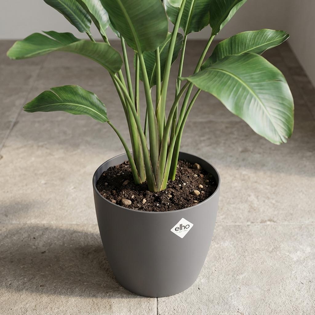 ELHO Brussels rond 30cm antraciet
