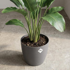 ELHO Brussels rond 30cm antraciet