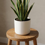 Elho B.for soft White - 18cm
